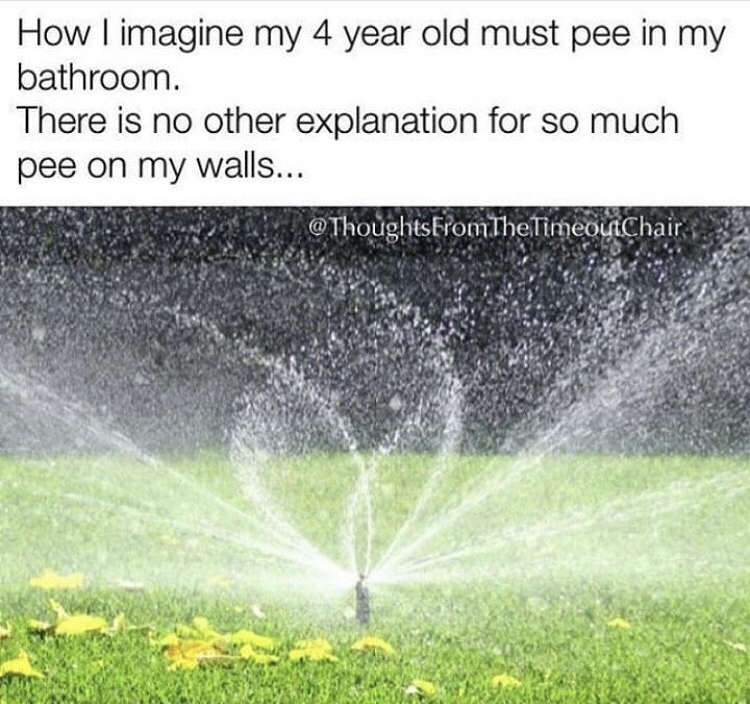 irrigation in landscape - How I imagine my 4 year old must pee in my bathroom. There is no other explanation for so much pee on my walls... @ ThoughtsFromTheTimeoutChair