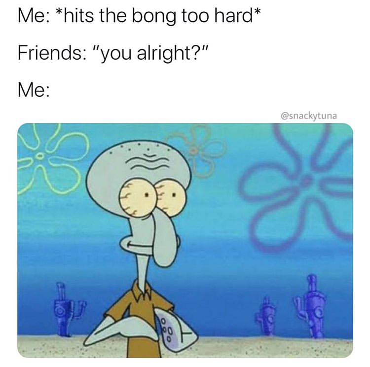 spongebob squarepants squidward - Me hits the bong too hard Friends "you alright?" Me 00