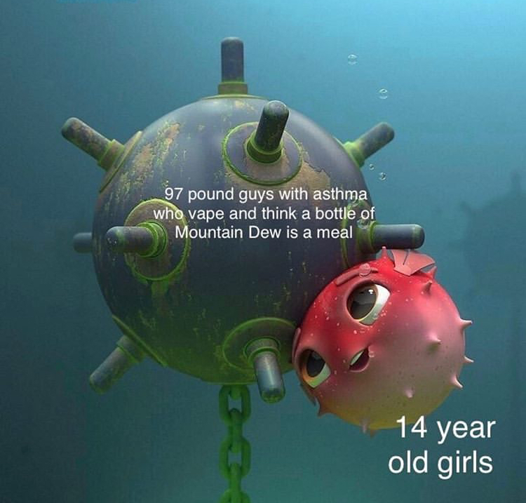 pufferfish cuddling mine meme - 97 pound guys with asthma who vape and think a bottle of Mountain Dew is a meal 14 year old girls