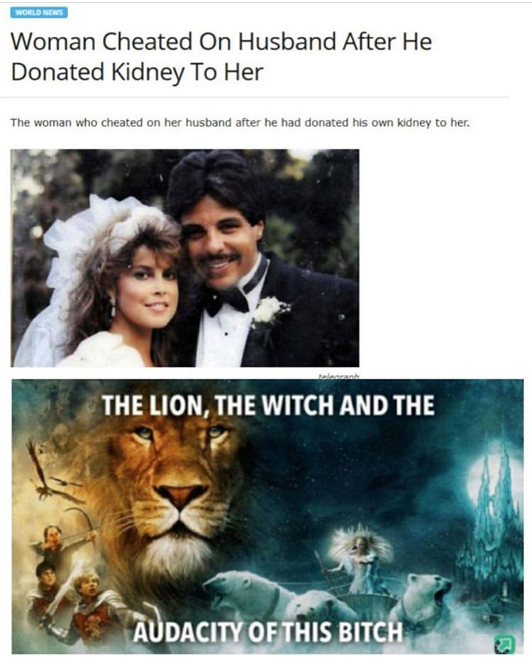 audacity of this b meme - Woman Cheated On Husband After He Donated Kidney To Her The woman who cheated on her husband after he had donated his own kidney to her. The Lion, The Witch And The Audaci Audacity Of This Bitch a