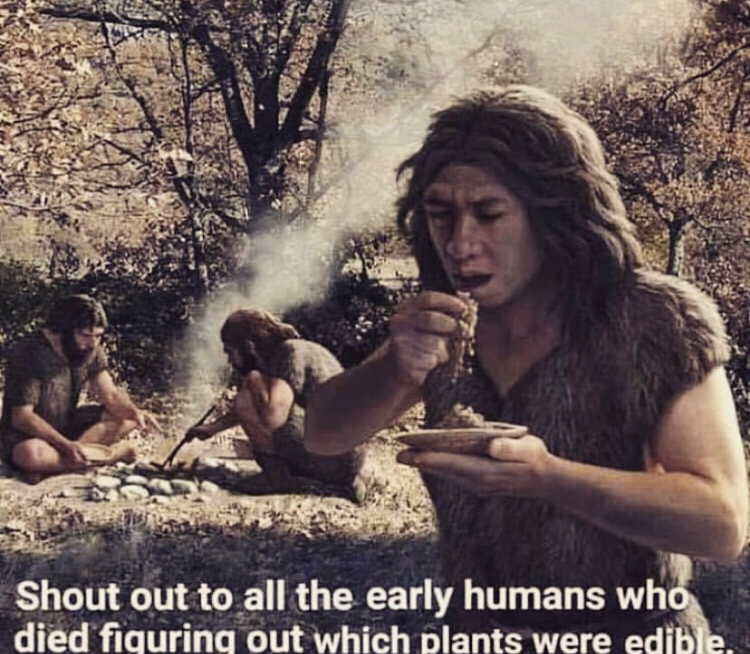 neanderthals cooking - Shout out to all the early humans who died fiquring out which plants were edible.