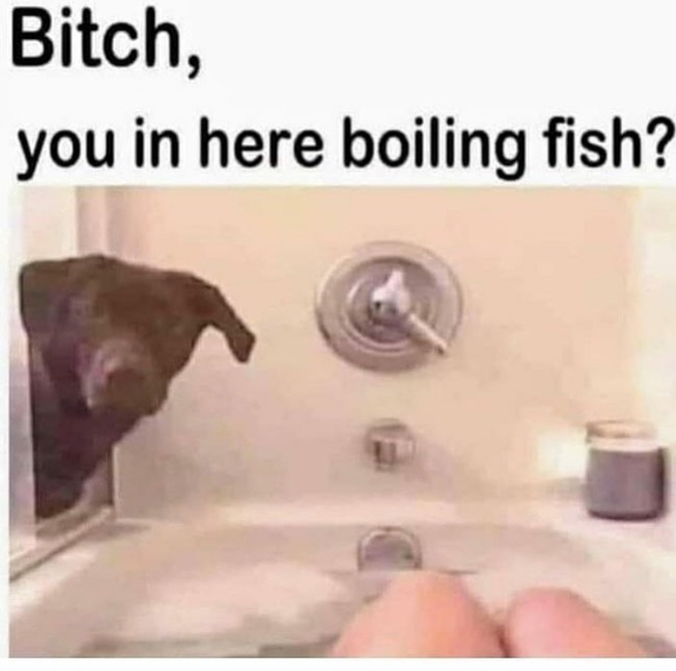 smells like fish meme - Bitch, you in here boiling fish?