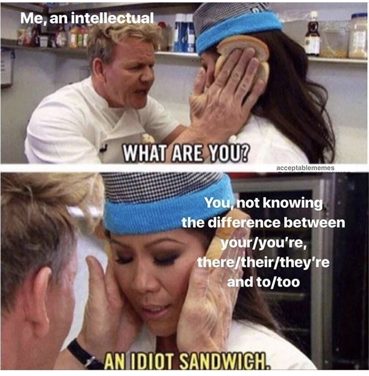gordon ramsay idiot sandwich - Me, an intellectual What Are You? acceptablememes You, not knowing the difference between youryou're, theretheirthey're and totoo An Idiot Sandwich.