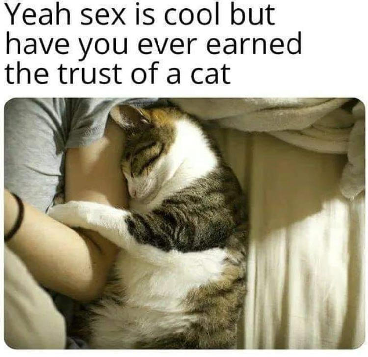 Cat - Yeah sex is cool but have you ever earned the trust of a cat