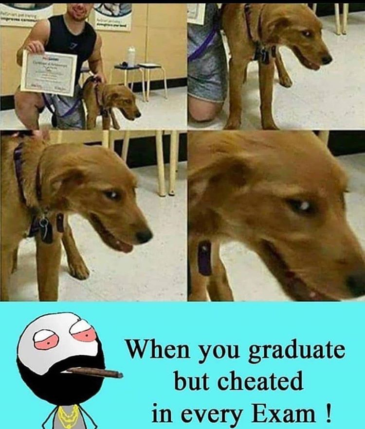 exam cheating memes - When you graduate but cheated in every Exam !