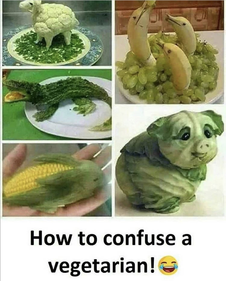 mess with a vegan - How to confuse a vegetarian!