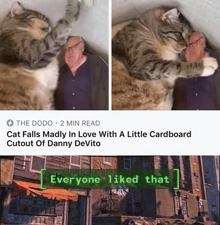 cat falls in love with danny devito - The Dodo 2 Min Read Cat Falls Madly In Love With A Little Cardboard Cutout Of Danny DeVito Everyone d that