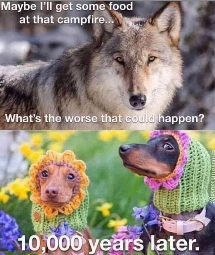 maybe i ll get some food - Maybe I'll get some food at that campfire... What's the worse that could happen? 10,000 years later.