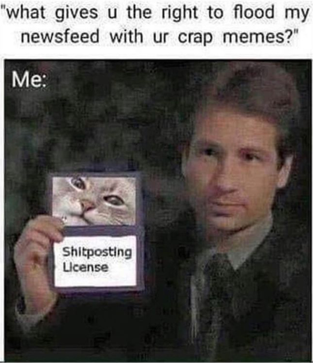 shitposting licence - "what gives u the right to flood my newsfeed with ur crap memes?" Me Shitposting License