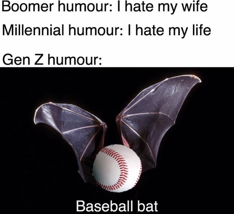 bat - Boomer humour I hate my wife Millennial humour I hate my life Gen Z humour Baseball bat