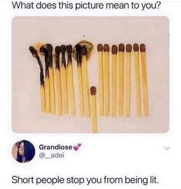 memes about being short - What does this picture mean to you? 001000 Grandiose Short people stop you from being lit.
