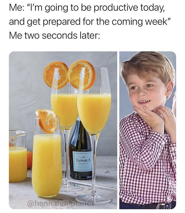 champagne mimosa - Me "I'm going to be productive today, and get prepared for the coming week" Me two seconds later D Lamarca