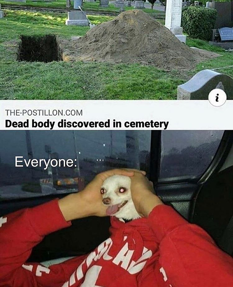 Internet meme - . ThePostillon.Com Dead body discovered in cemetery Everyone