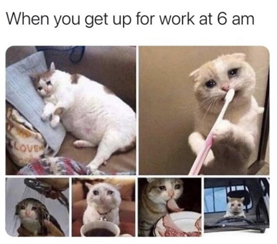 funny memes - you get up for work at 7 am - When you get up for work at 6 am Love