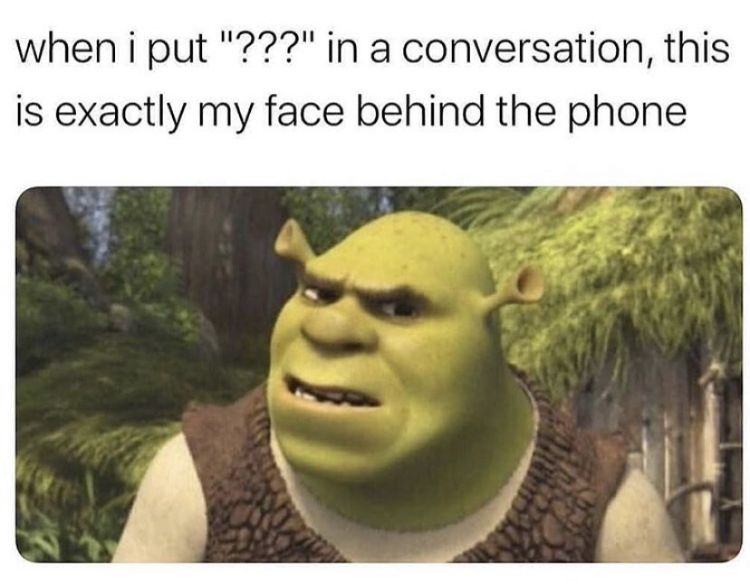 funny memes - put meme - when i put "???" in a conversation, this is exactly my face behind the phone