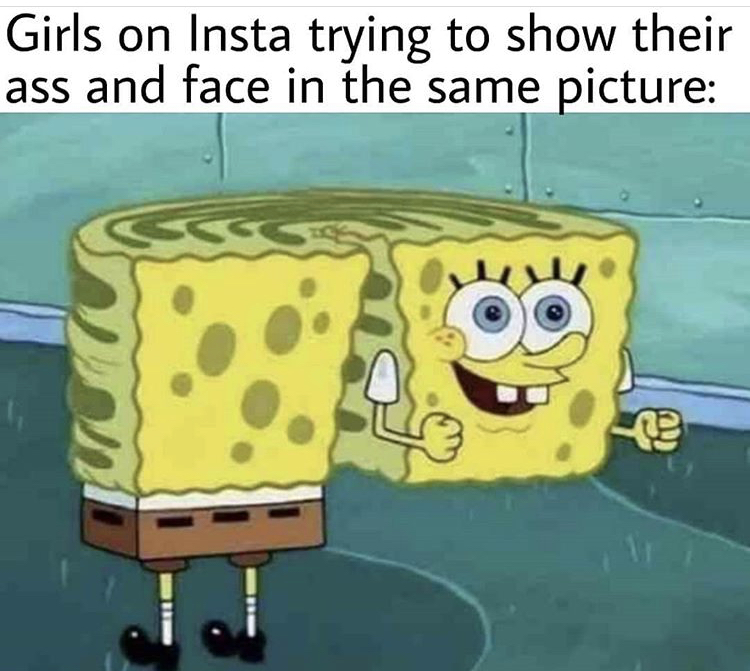 funny memes - Internet meme - Girls on Insta trying to show their ass and face in the same picture