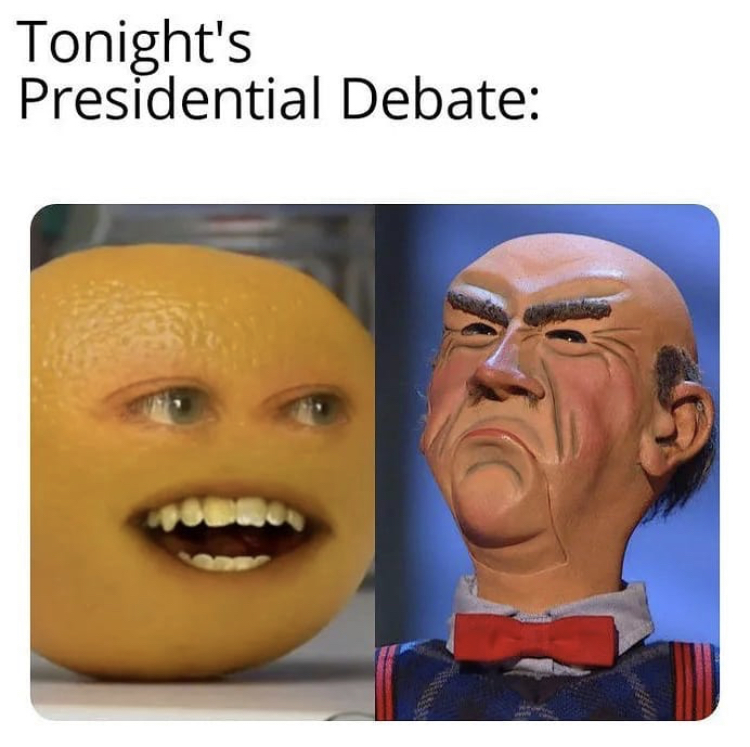 funny memes - head - Tonight's Presidential Debate