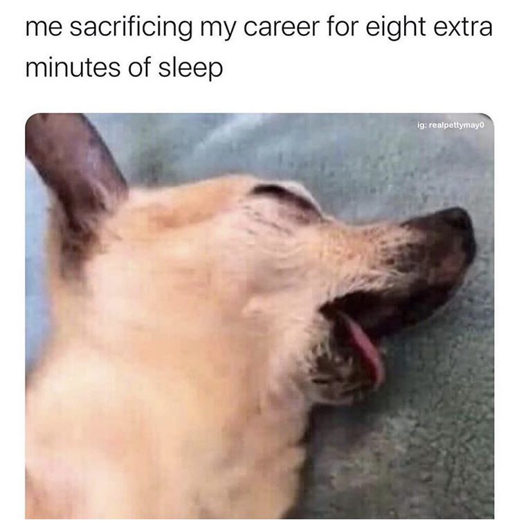 funny memes - 12 year old me pretending to be asleep - me sacrificing my career for eight extra minutes of sleep ig realpettymayo