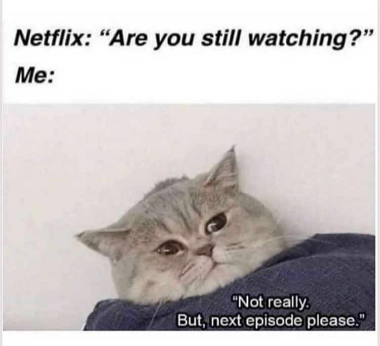 Helvegen - Netflix "Are you still watching?" Me "Not really. But, next episode please."