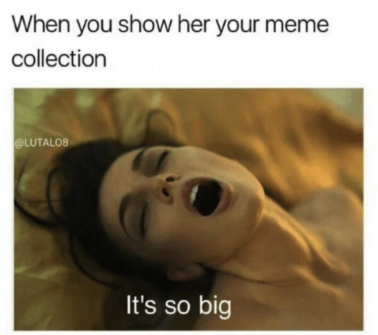 photo caption - When you show her your meme collection It's so big