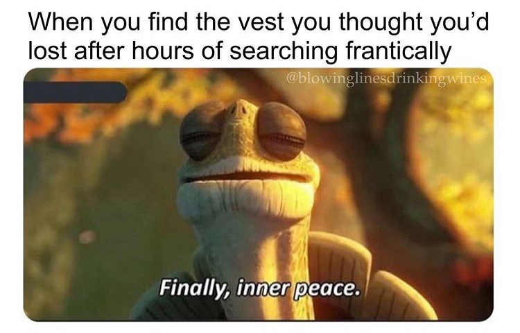 finally inner peace meme - When you find the vest you thought you'd lost after hours of searching frantically wines Finally, inner peace.