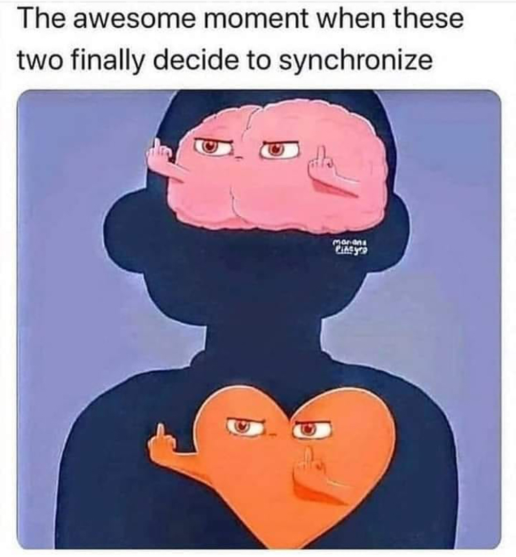 funny gemini memes - The awesome moment when these two finally decide to synchronize manand