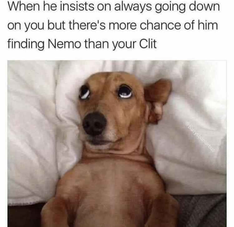 finding nemo clit meme - When he insists on always going down on you but there's more chance of him finding Nemo than your Clit byStore