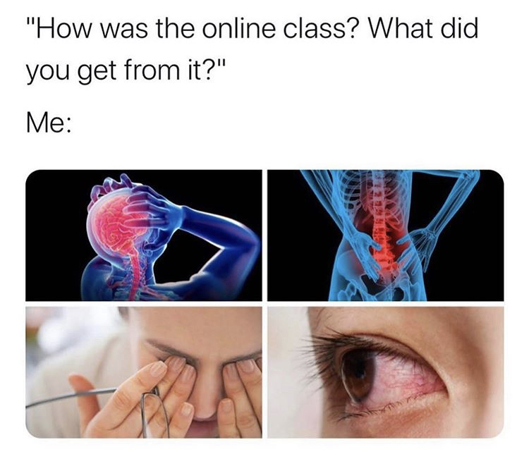 eyelash - "How was the online class? What did you get from it?" Me 122232