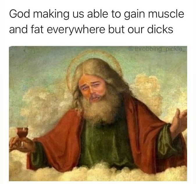 god memes - God making us able to gain muscle and fat everywhere but our dicks pickle