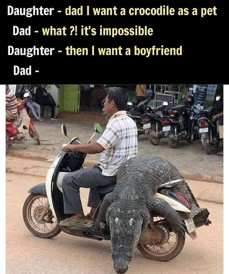 scooter - Daughter dad I want a crocodile as a pet Dad what ?! it's impossible Daughter then I want a boyfriend Dad
