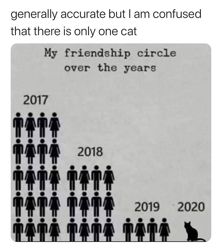 my friendship circle over the years - generally accurate but I am confused that there is only one cat My friendship circle over the years 2017 2018 2019 2020