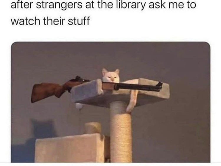 cat with gun - after strangers at the library ask me to watch their stuff