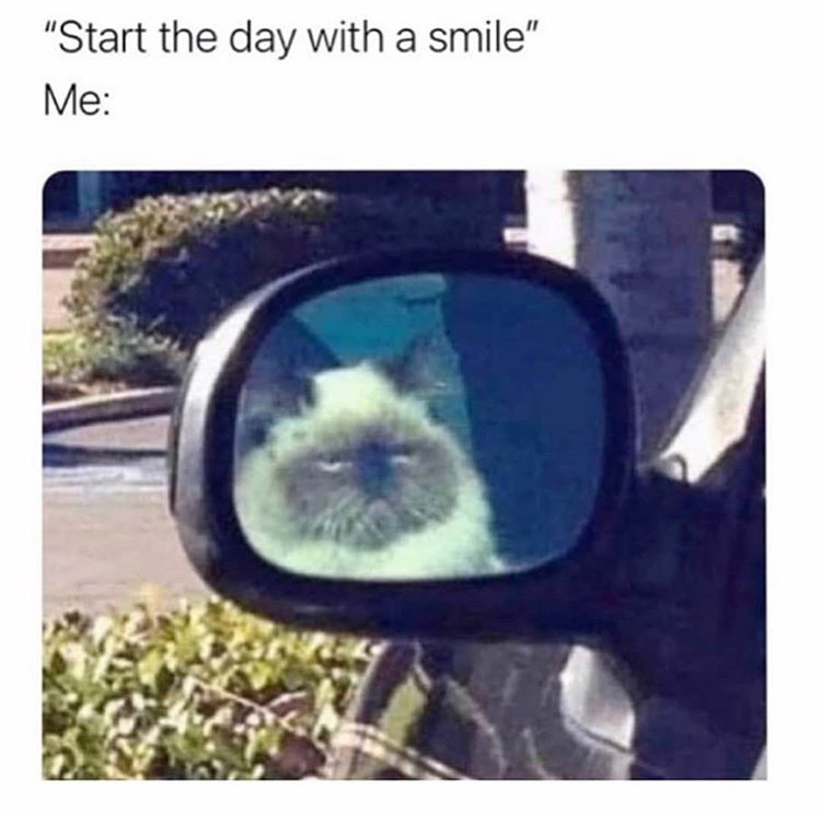 funny memes - "Start the day with a smile" Me
