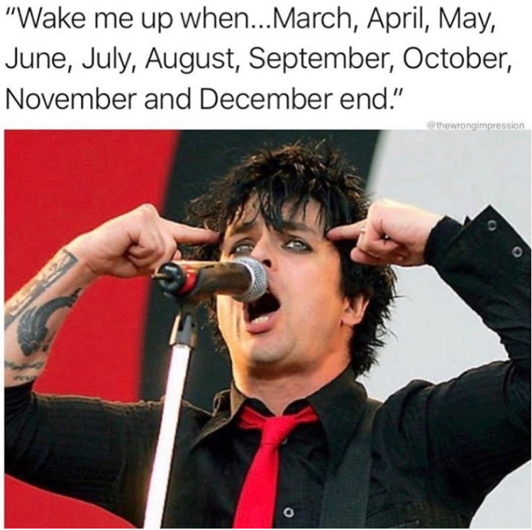 funny memes - wake me up when march april may june july august september october november and december end