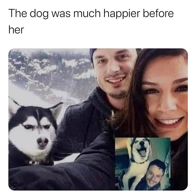 funny memes - The dog was much happier before her
