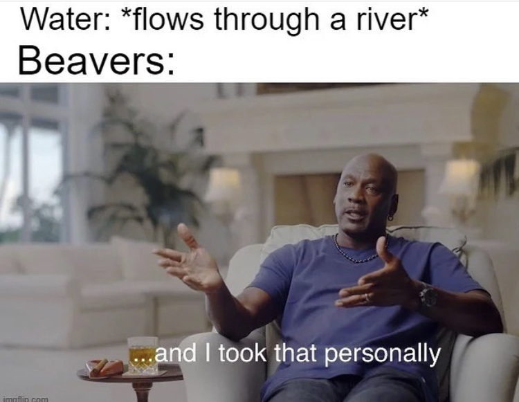 funny memes - michael jordan took that personally meme - Water flows through a river Beavers ...and I took that personally
