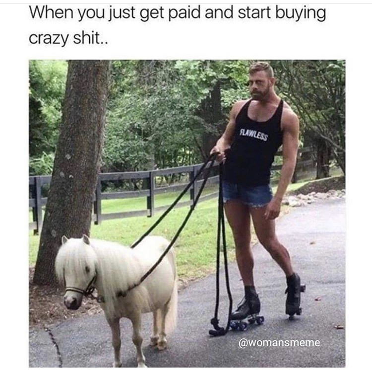 funny memes - When you just get paid and start buying crazy shit..