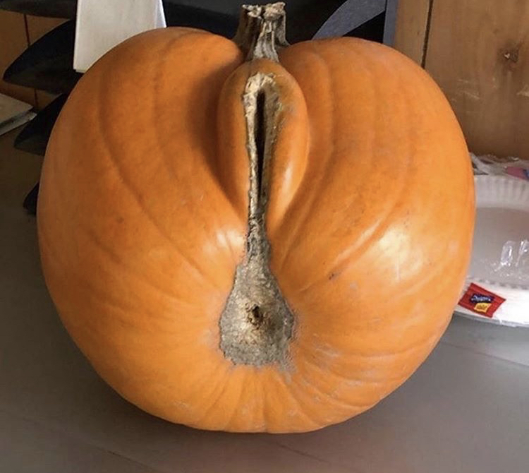 funny memes - pumpkin sex meme