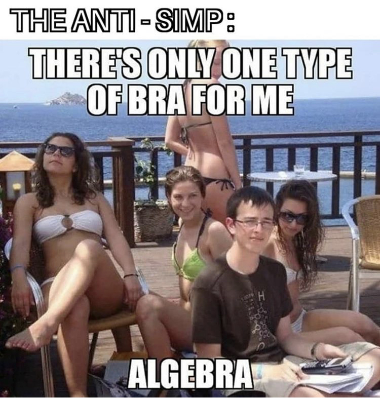 funny memes - The AntiSimp There'S Only One Type Of Bra For Me Algebra