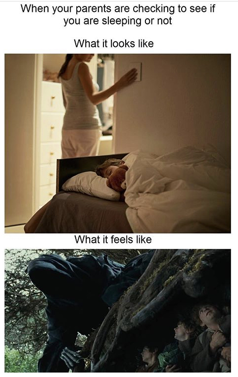 funny memes - When your parents are checking to see if you are sleeping or not What it looks What it feels