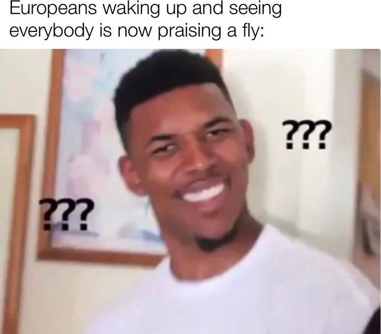 funny meme pictures without words - Europeans waking up and seeing everybody is now praising a fly ???? ???