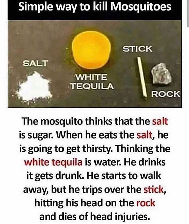 Simple way to kill Mosquitoes Stick Salt White Tequila Rock The mosquito thinks that the salt is sugar. When he eats the salt, he is going to get thirsty. Thinking the white tequila is water. He drinks it gets drunk. He starts to walk away, but he trips…