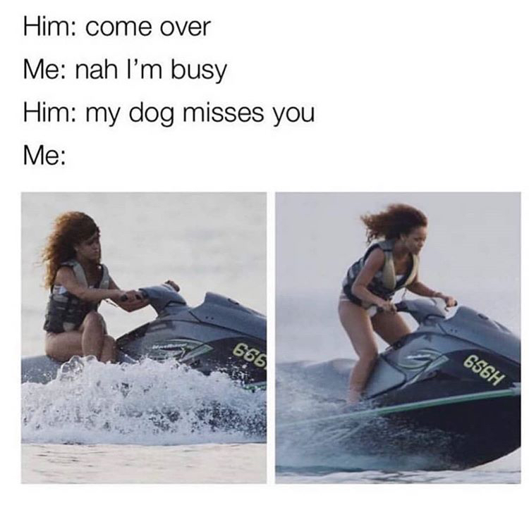 him come over meme - Him come over Me nah I'm busy Him my dog misses you Me 666 656H