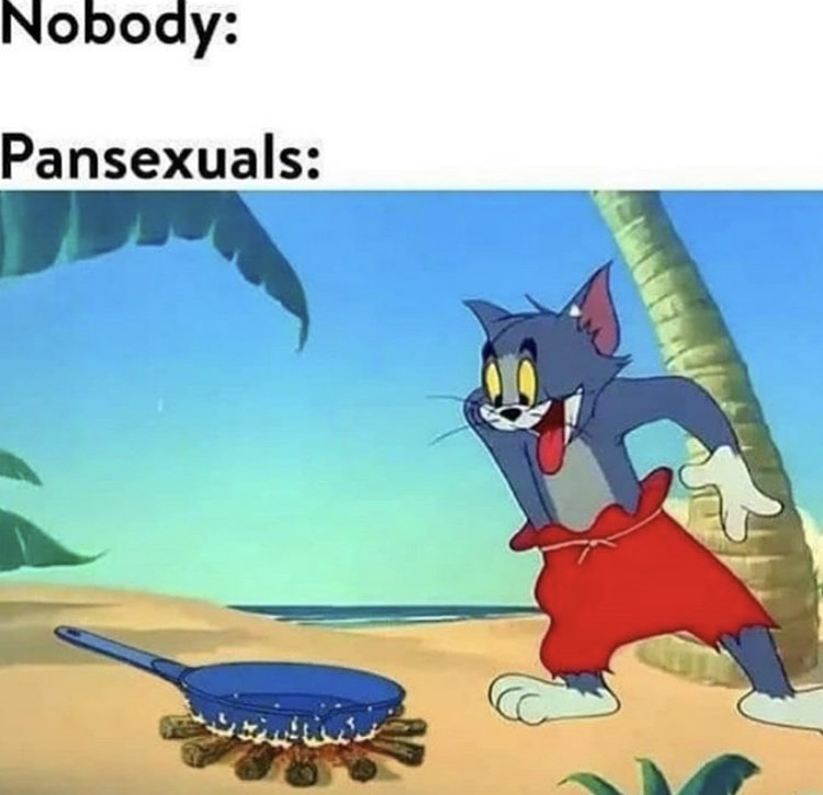 cartoon - Nobody Pansexuals