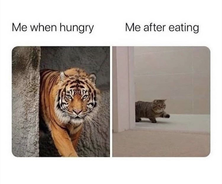 me when hungry me after eating - Me when hungry Me after eating
