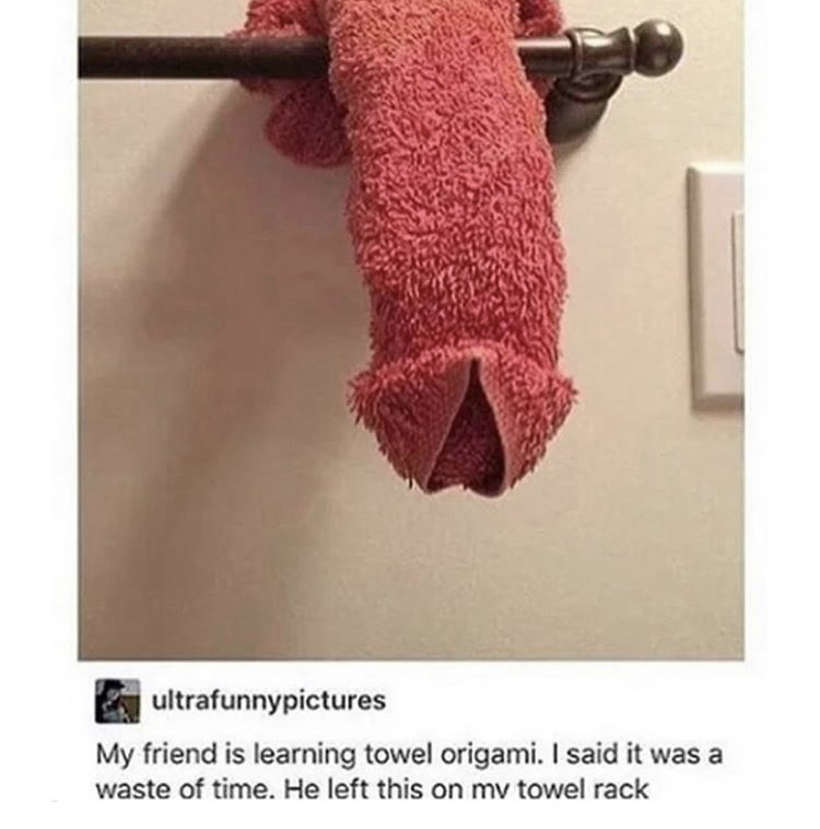 ultrafunnypictures My friend is learning towel origami. I said it was a waste of time. He left this on my towel rack