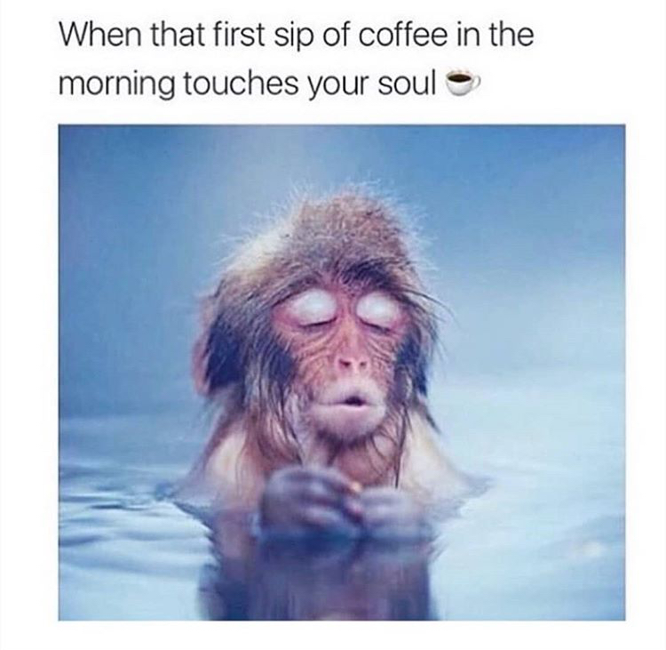 morning meme - When that first sip of coffee in the morning touches your soul