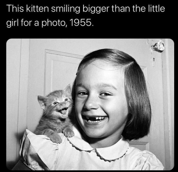 walter chandoha cats photographs 1942 2018 - This kitten smiling bigger than the little girl for a photo, 1955.
