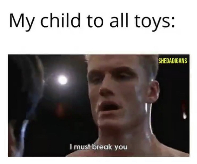 single memes for women - My child to all toys Shedadigans I must break you