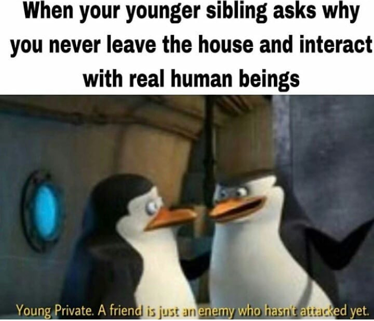 never leaving the house meme - When your younger sibling asks why you never leave the house and interact with real human beings Young Private. A friend is just an enemy who hasnt attacked yet.